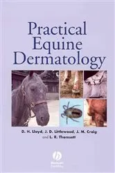 Book cover of Practical Equine Dermatology by David H. Lloyd