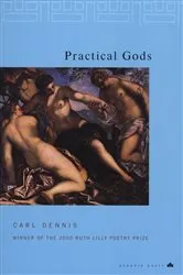 Book cover of Practical Gods by Carl Dennis
