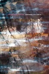 Book cover of Practical Water by Brenda Hillman