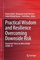 Book cover of Practical Wisdom and Resilience Overcoming Downside Risk by Kazuyo Hanai