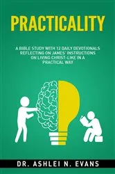 Book cover of Practicality by Dr. Ashlei Evans