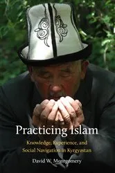Book cover of Practicing Islam by David Montgomery