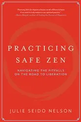 Book cover of Practicing Safe Zen by Julie Seido Nelson
