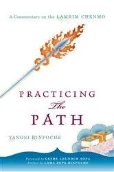 Book cover of Practicing the Path by Yangsi