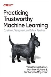 Book cover of Practicing Trustworthy Machine Learning by Yada Pruksachatkun