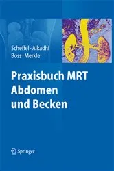 Book cover of Praxisbuch MRT Abdomen und Becken by Hans Scheffel
