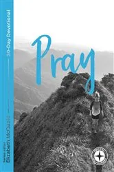 Book cover of Pray - Food for the Journey by ELIZABETH MCQUOID