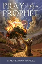 Book cover of Pray Like A Prophet by Mary Donna Hankla