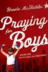 Book cover of Praying for Boys by Brooke McGlothlin