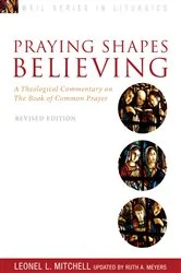 Book cover of Praying Shapes Believing by Ruth A. Meyers