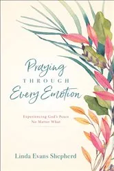 Book cover of Praying through Every Emotion by Linda Evans Shepherd