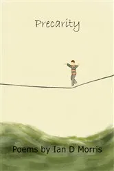 Book cover of Precarity by Ian D Morris