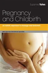 Book cover of Pregnancy and Childbirth by Jan de Vries