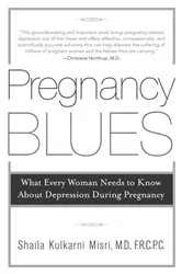 Book cover of Pregnancy Blues by Shaila Kulkarni Misri
