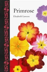 Book cover of Primrose by Elizabeth Lawson