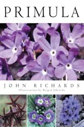 Book cover of Primula by John Richards