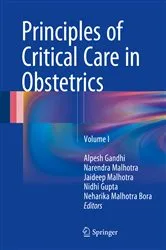 Book cover of Principles of Critical Care in Obstetrics by Alpesh Gandhi
