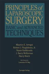 Book cover of Principles of Laparoscopic Surgery by Maurice E. Arregui