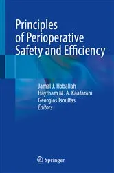 Book cover of Principles of Perioperative Safety and Efficiency by Jamal J Hoballah