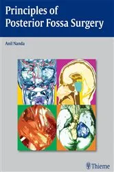 Book cover of Principles of Posterior Fossa Surgery by Anil Nanda