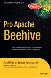 Book cover of Pro Apache Beehive by Srinivas Kanchanavally