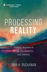 Book cover of Processing Reality by John H. Buchanan