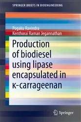 Book cover of Production of biodiesel using lipase encapsulated in κ-carrageenan by Pogaku Ravindra