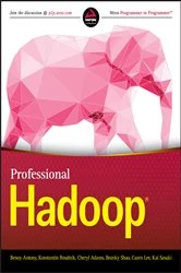 Book cover of Professional Hadoop by Benoy Antony