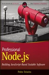 Book cover of Professional Node.js by Pedro Teixeira