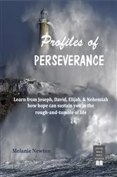 Book cover of Profiles of Perseverance by Melanie Newton