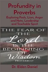 Book cover of Profundity in Proverbs by Daniel
