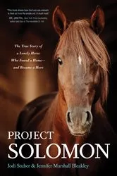 Book cover of Project Solomon by Jodi Stuber