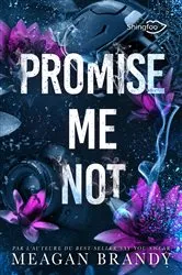 Book cover of Promise me Not by Meagan Brandy