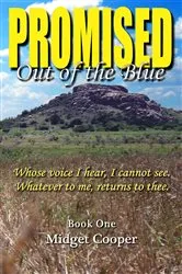 Book cover of Promised by Unknown