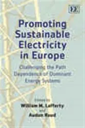 Book cover of Promoting Sustainable Electricity in Europe by William M. Lafferty