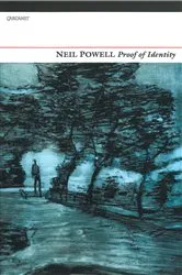 Book cover of Proof of Identity by Unknown