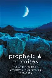 Book cover of Prophets and Promises by Richard J. Bruesehoff