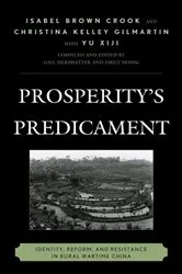 Book cover of Prosperity's Predicament by Isabel Brown Crook
