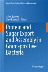 Book cover of Protein and Sugar Export and Assembly in Gram-positive Bacteria by Fabio Bagnoli