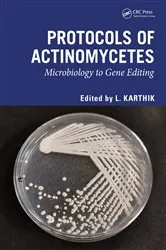 Book cover of Protocols of Actinomycetes by L Karthik
