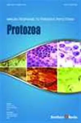 Book cover of Protozoa (Volume 1) by Emilio Jirillo