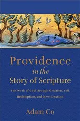 Book cover of Providence in the Story of Scripture by Adamson Co