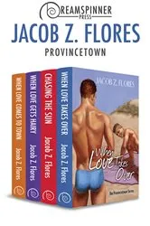 Book cover of Provincetown by Karen Christel Krahulik