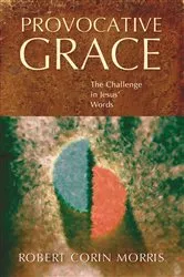 Book cover of Provocative Grace by Robert Corin Morris