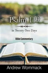 Book cover of Psalm 119 in Twenty-Two Days by Andrew Wommack