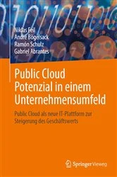 Book cover of Public Cloud Potenzial in einem Unternehmensumfeld by Niklas Feil