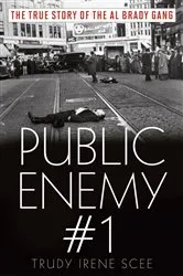 Book cover of Public Enemy Number One by Trudy Irene Scee