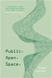 Book cover of Public. Open. Space by Kate Larsen