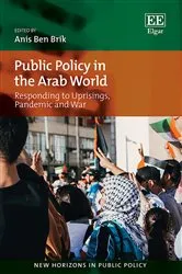 Book cover of Public Policy in the Arab World by Anis B. Brik