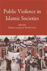 Book cover of Public Violence in Islamic Societies by Christian Lange